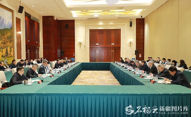 自治区在北京举行“十五五”规划纲要高层次专家咨询会